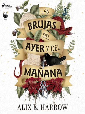 cover image of Las brujas del ayer y del mañana